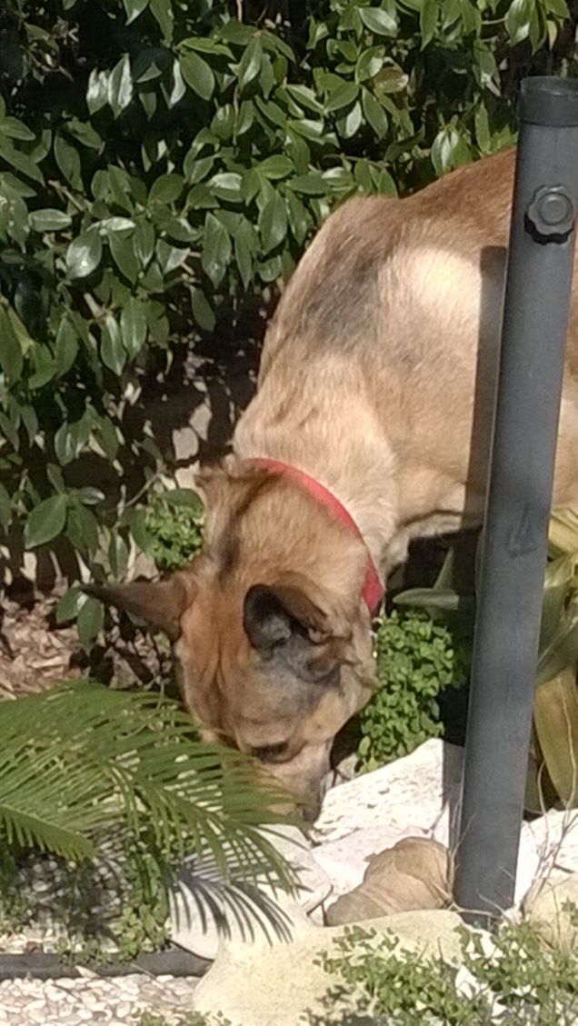 La mia vita è un arcobaleno15