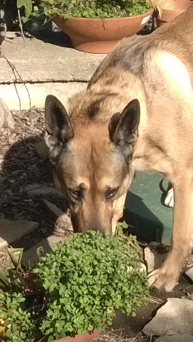 La mia vita è un arcobaleno17