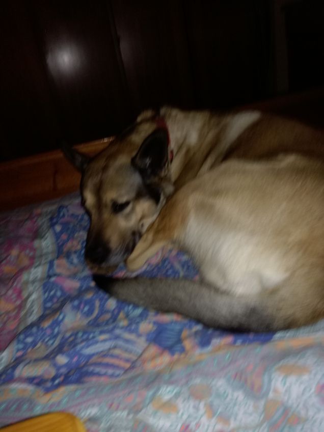 Non fare niente stanca.