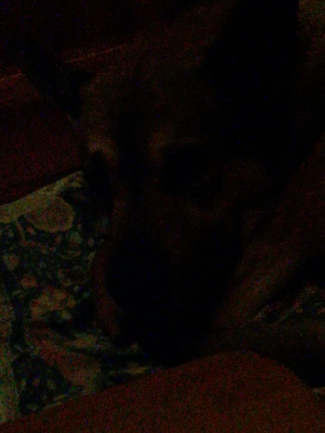 Finalmente un pò di riposo.