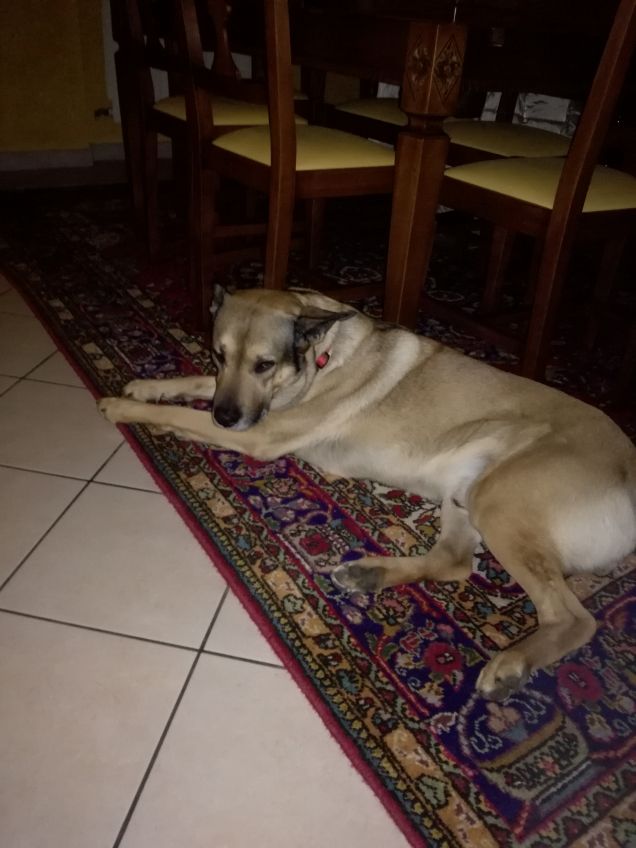 Ma quanto sono bello