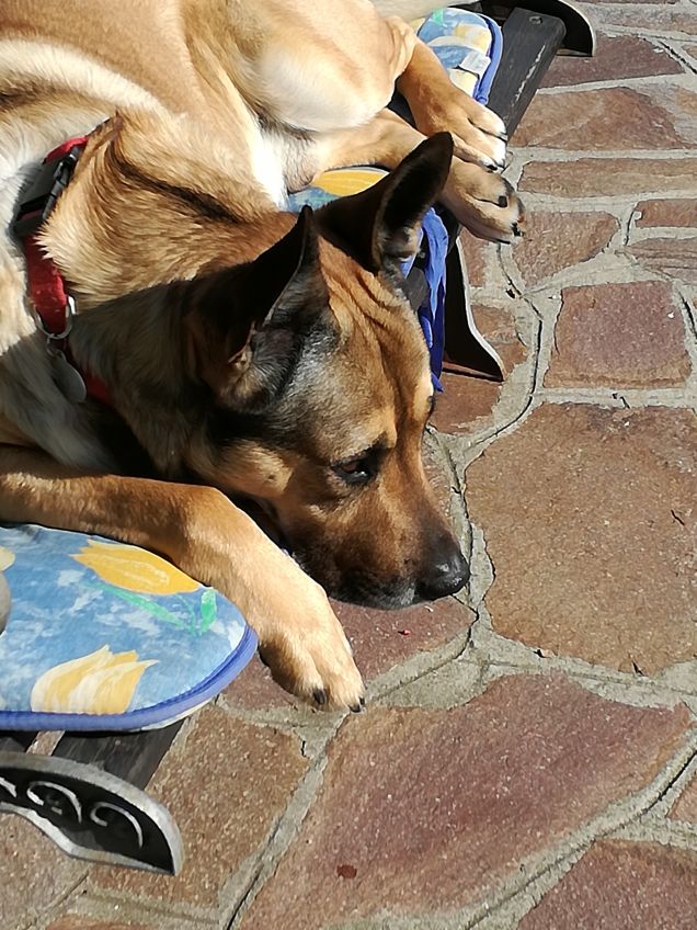 Ma quanto sono bello1