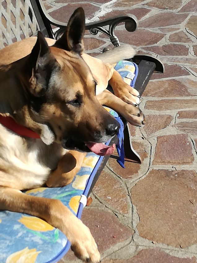 Ma quanto sono bello2