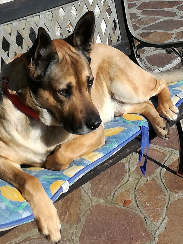 Ma quanto sono bello3