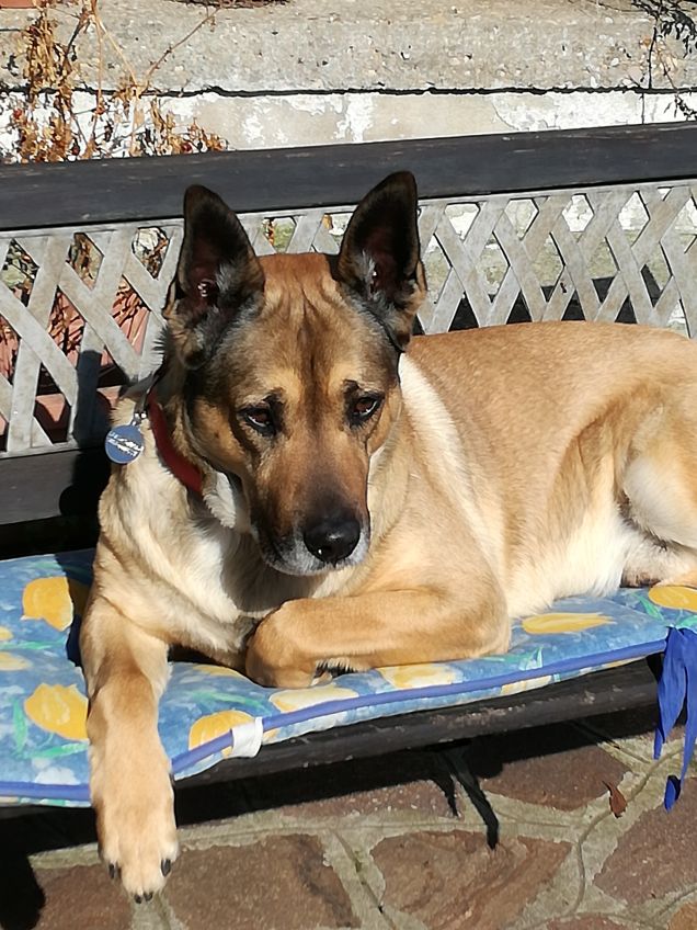 Ma quanto sono bello4