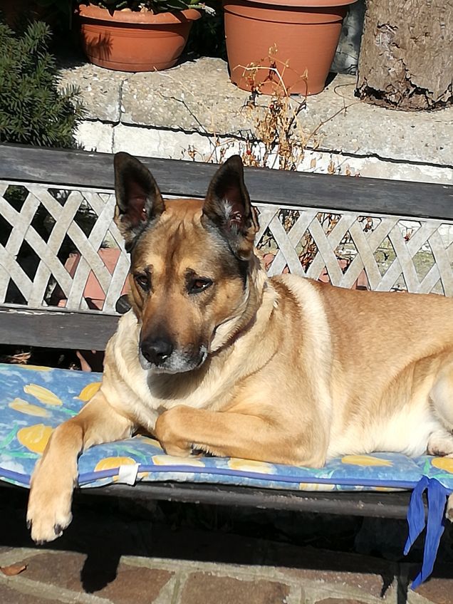 Ma quanto sono bello5