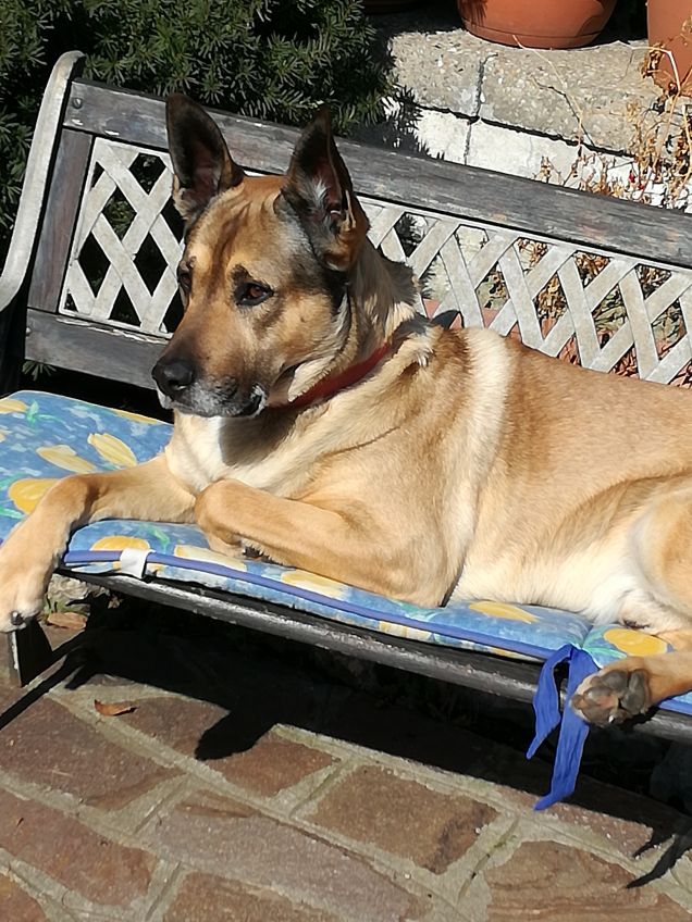 Ma quanto sono bello6