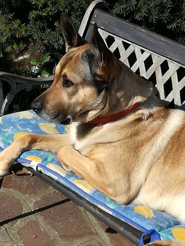 Ma quanto sono bello7