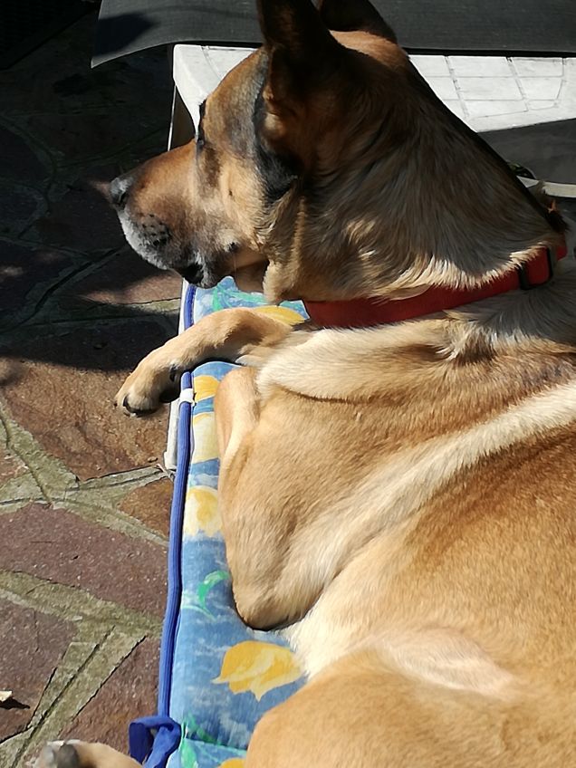 Ma quanto sono bello8