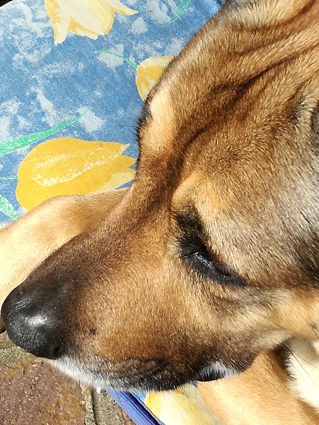 Ma quanto sono bello9