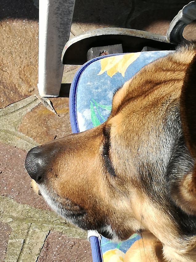 Ma quanto sono bello10