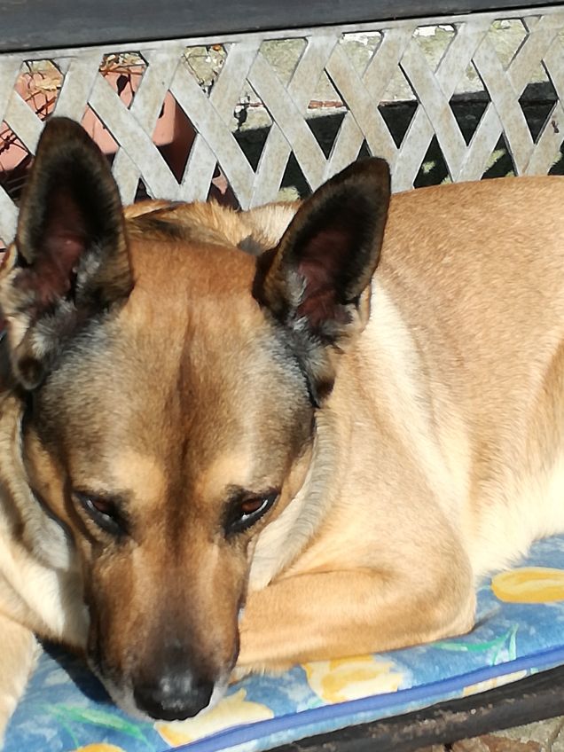 Ma quanto sono bello11