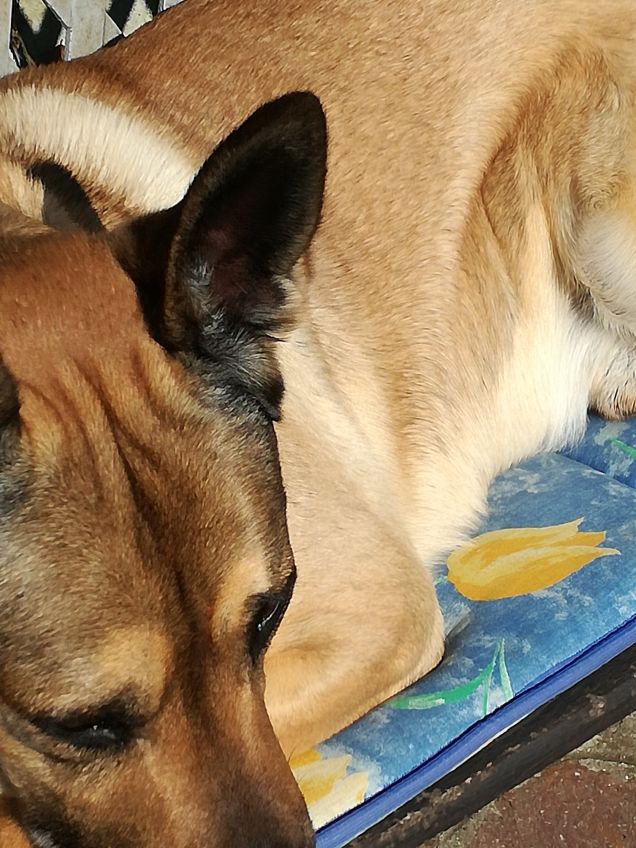 Ma quanto sono bello12