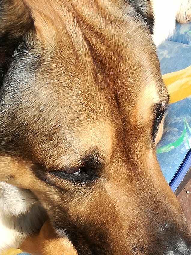 Ma quanto sono bello13