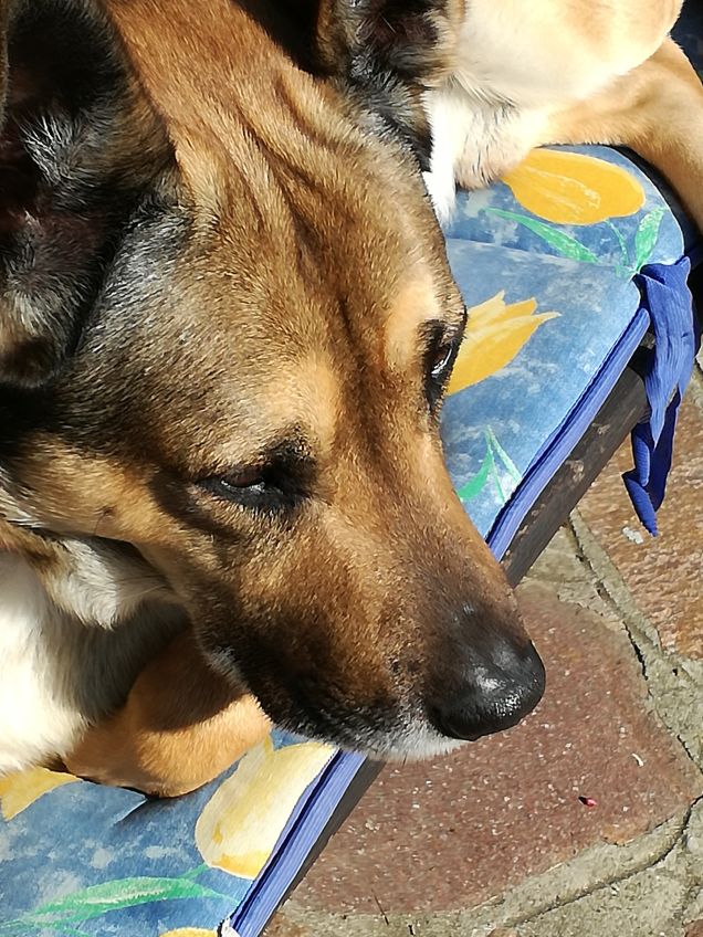 Ma quanto sono bello14