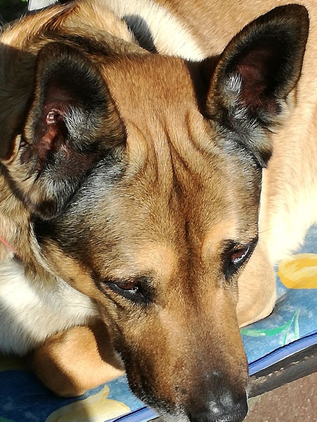 Ma quanto sono bello15