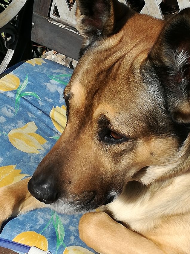 Ma quanto sono bello16