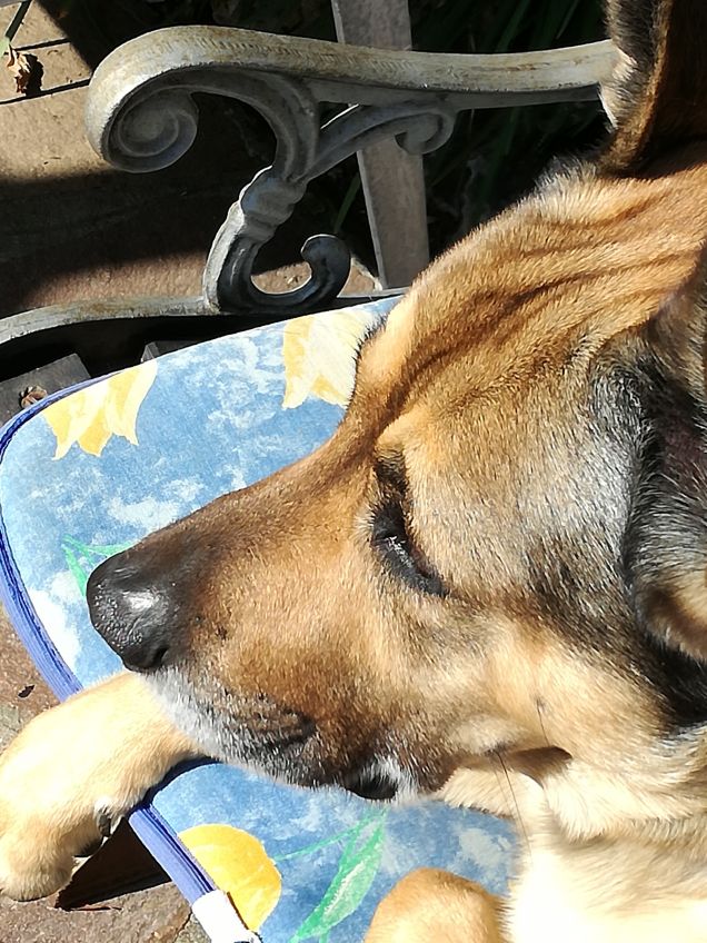 Ma quanto sono bello17