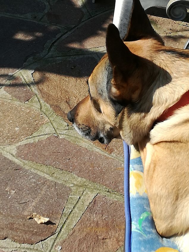 Ma quanto sono bello18