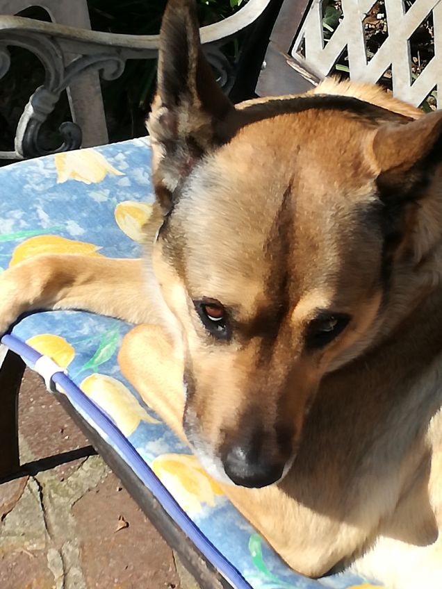 Ma quanto sono bello19