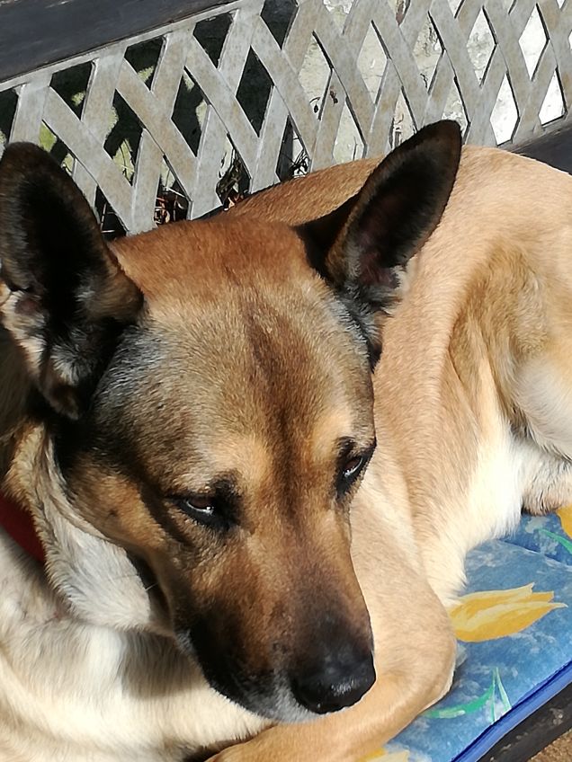 Ma quanto sono bello20