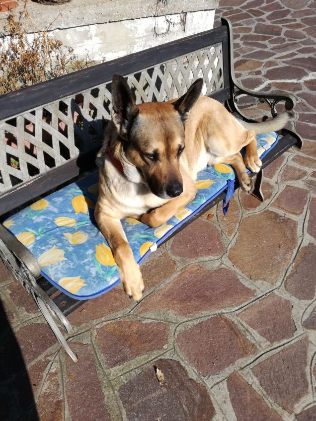 Comodamente in panchina.