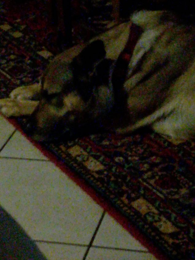 L'amore della mia vita.3