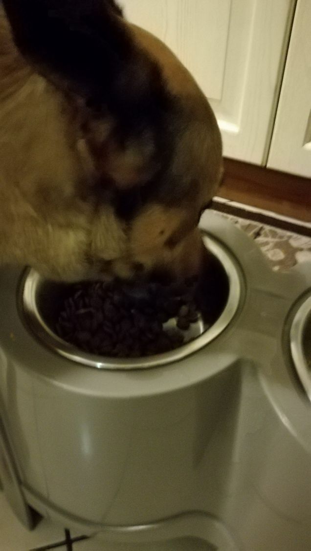 La mia buona pappa10