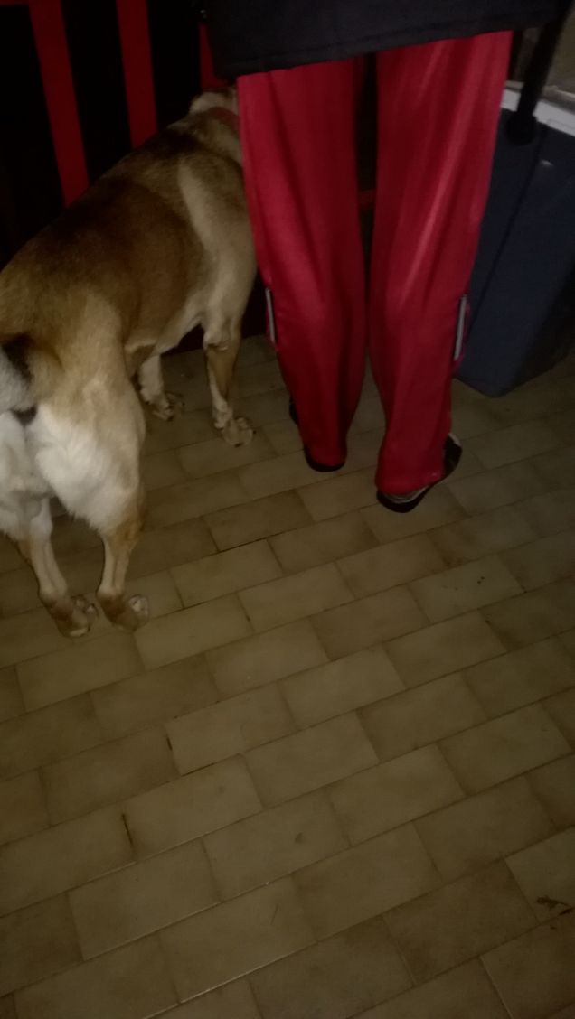 Vicino al mio padrone.