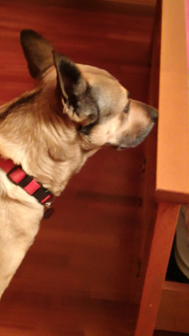 Ci sto pensando sù.