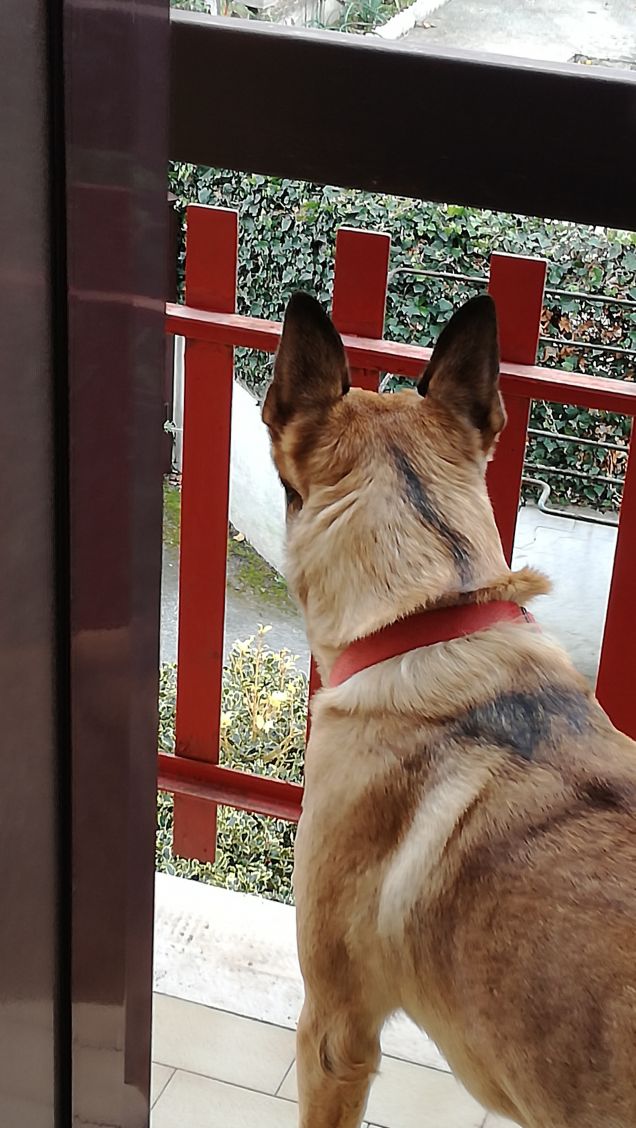 Dal balcone mi godo il panorama 1