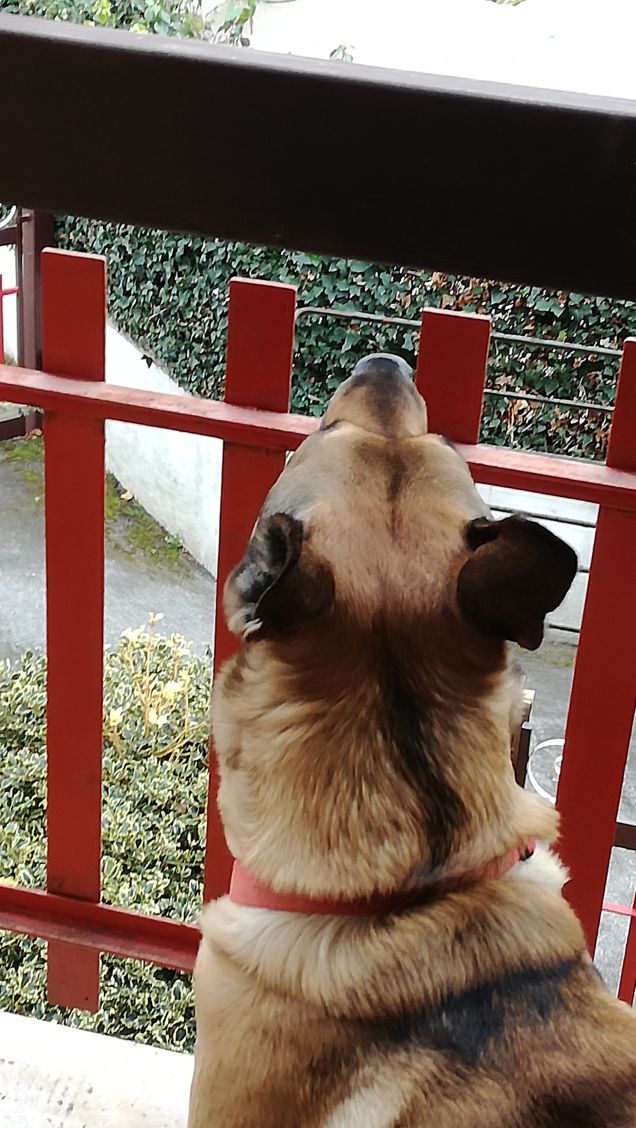  mi godo il panorama2