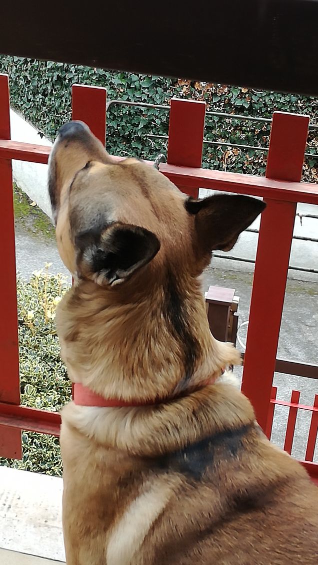  mi godo il panorama3