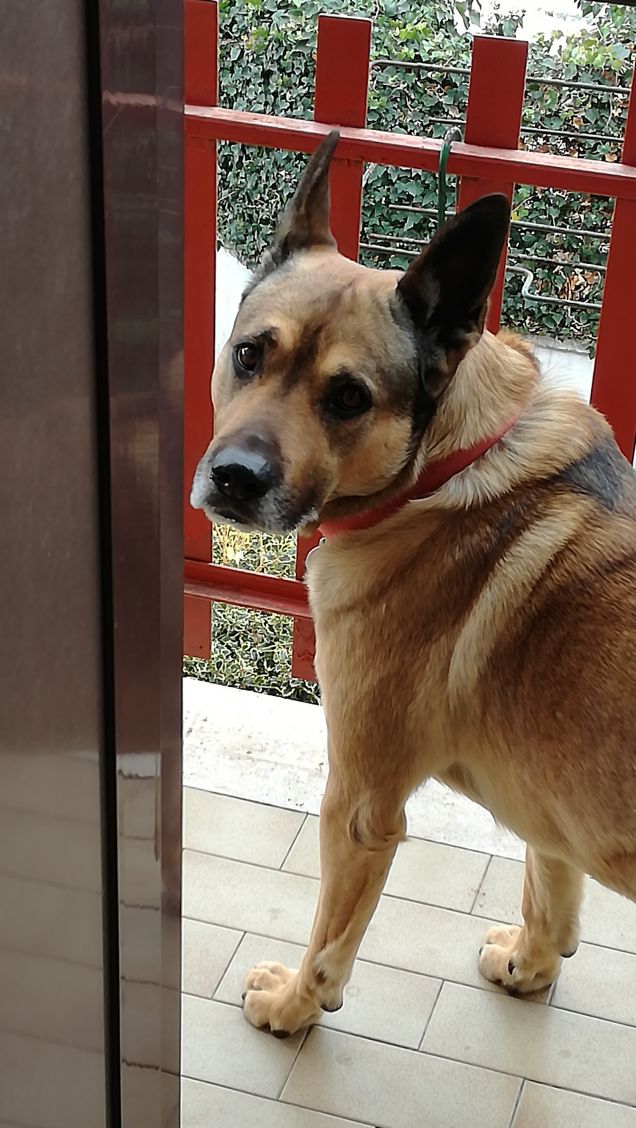  mi godo il panorama4