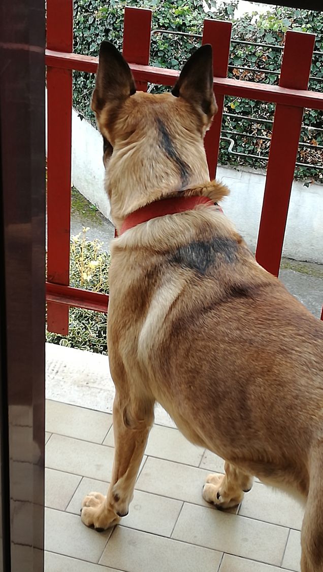  mi godo il panorama5