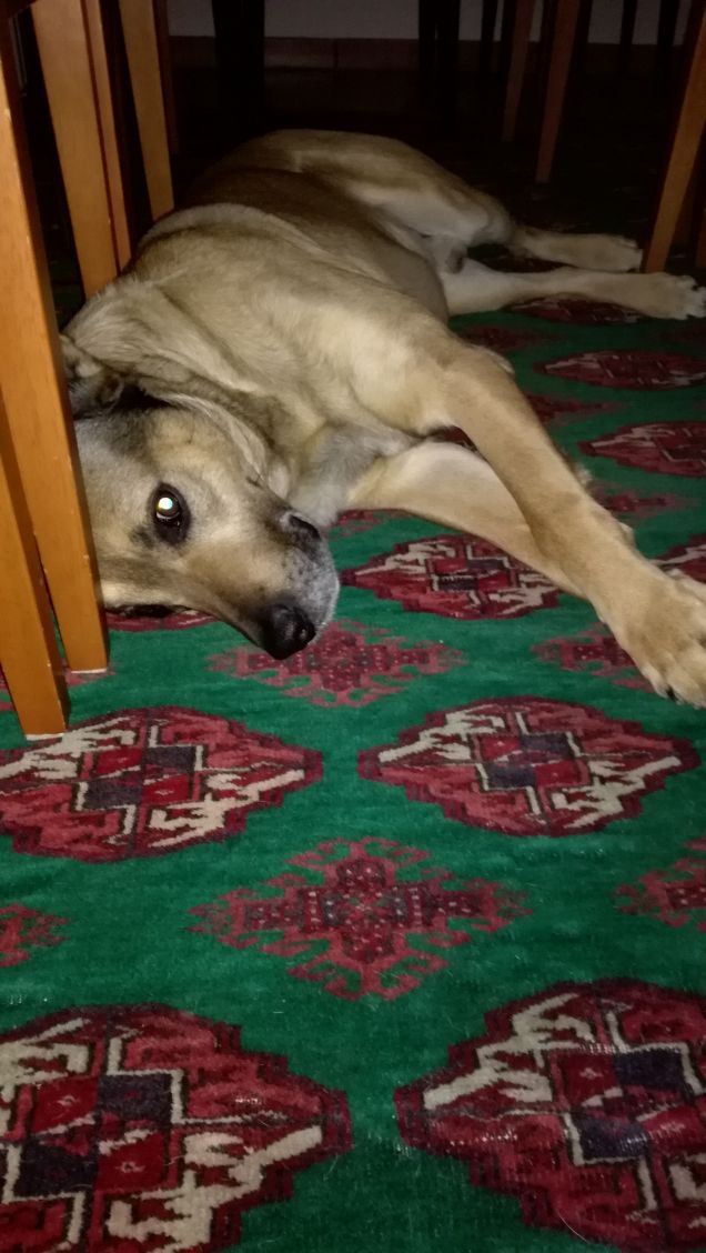 Dove eravamo rimasti 1