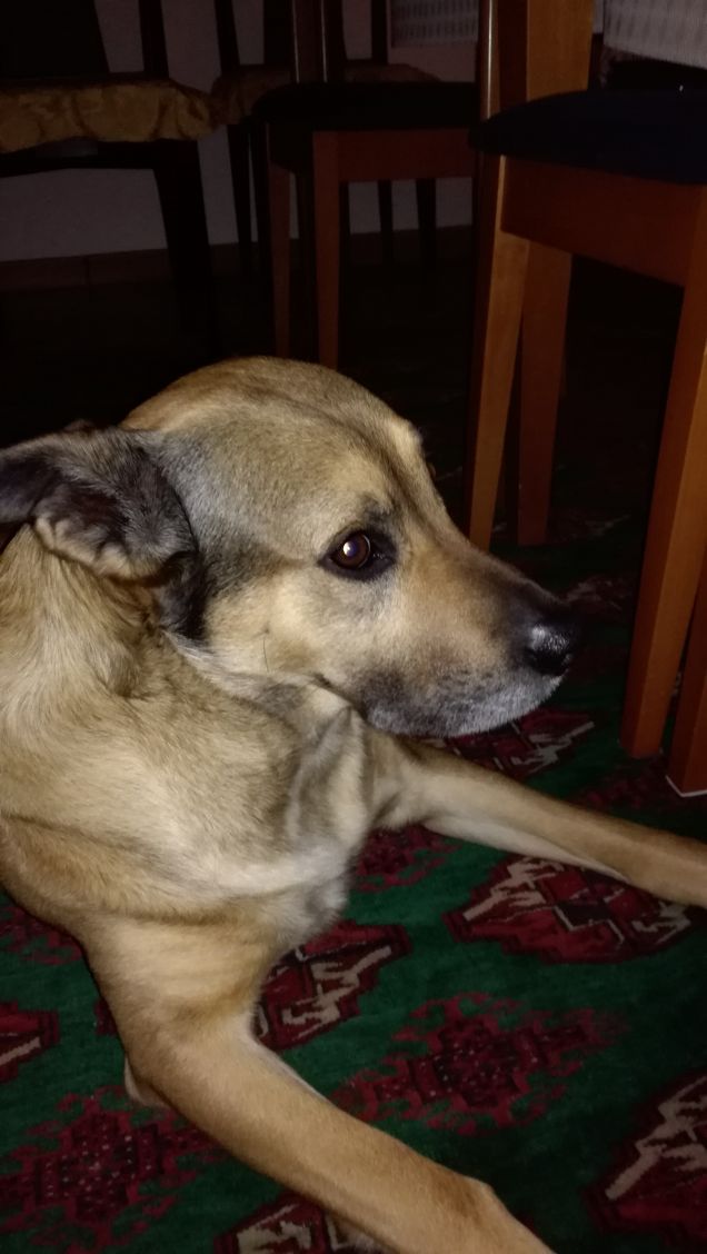 Dove eravamo rimasti 3