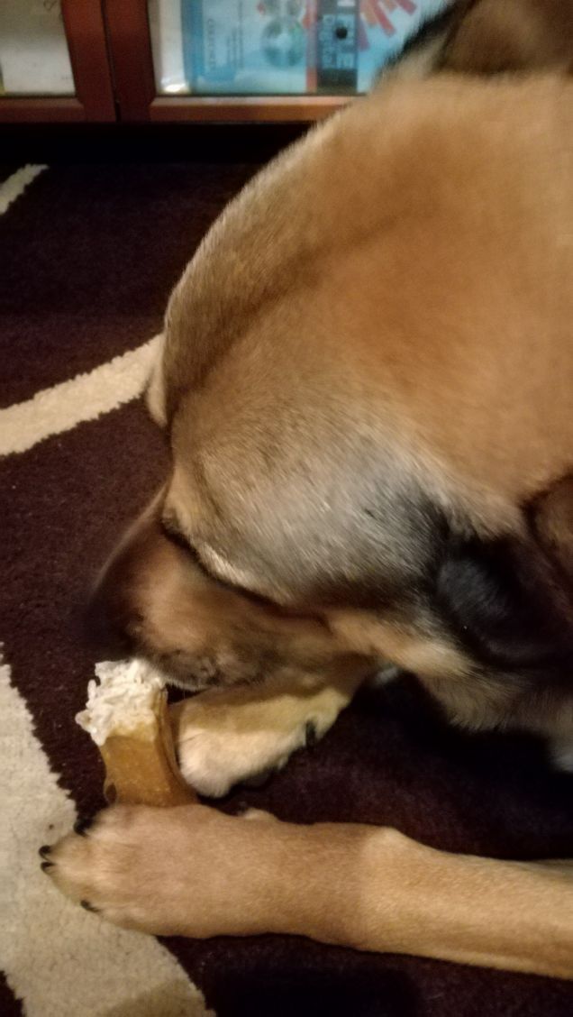 Artù e il suo osso.