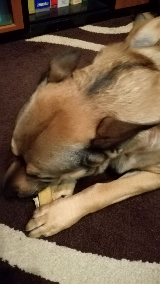 Artù e il suo osso.5