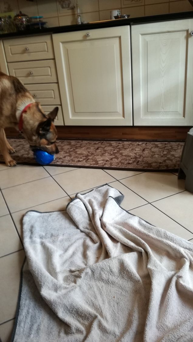 Artù e la palla blu.