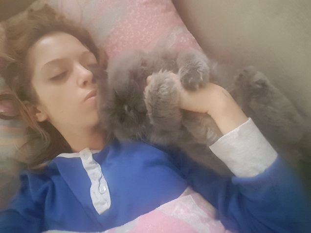 I belli addormentati