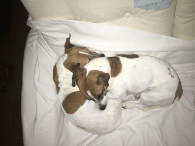  Aaron e il suo papà 