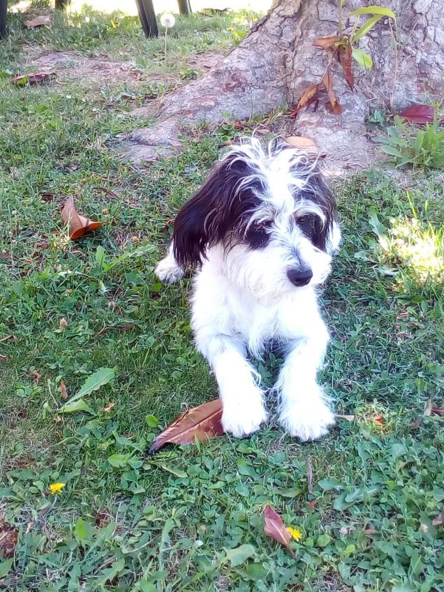 Uff! Quanto pensiero!