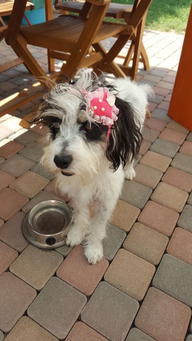 Guarda che mi tocca fare!