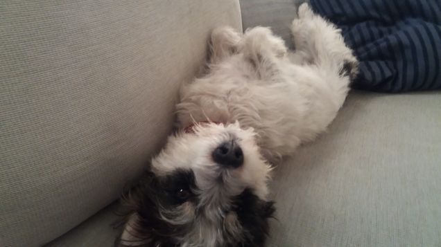 No! È già lunedì!