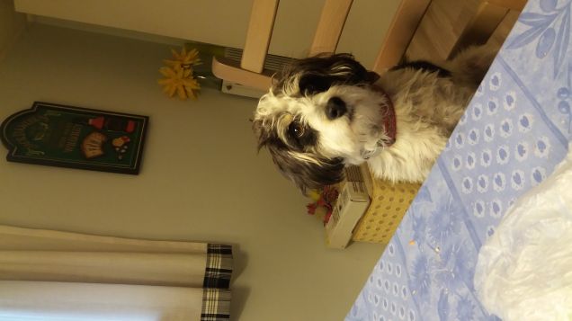 Aggiungo un posto a tavola