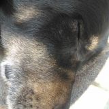 Il mio cucciolo del cuore!