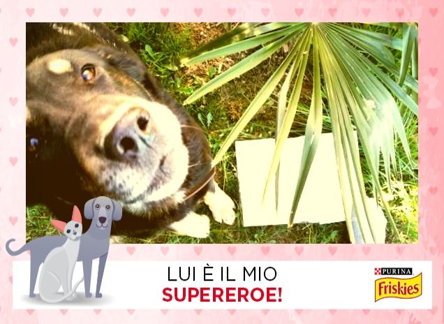 Il mio migliorare amico❤