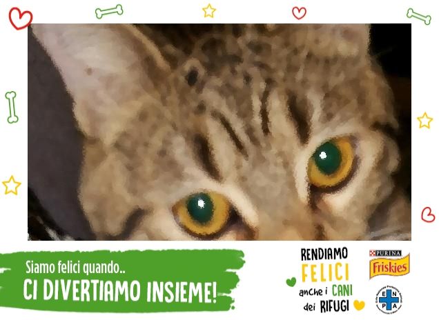 io e il mio amore bloom