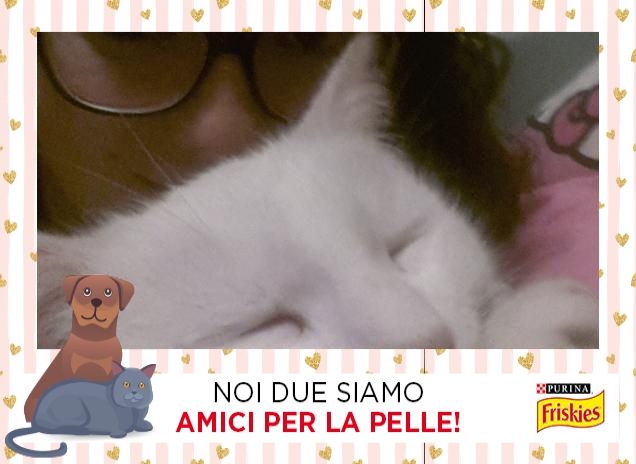 Nemiche amiche
